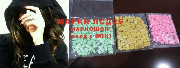 ГАЛЛЮЦИНОГЕННЫЕ ГРИБЫ Верея