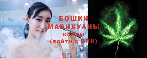 ГАЛЛЮЦИНОГЕННЫЕ ГРИБЫ Верея