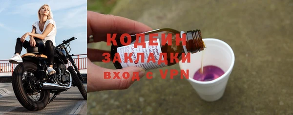 ГАЛЛЮЦИНОГЕННЫЕ ГРИБЫ Верея