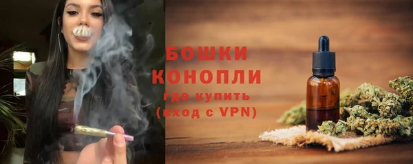 ГАЛЛЮЦИНОГЕННЫЕ ГРИБЫ Верея