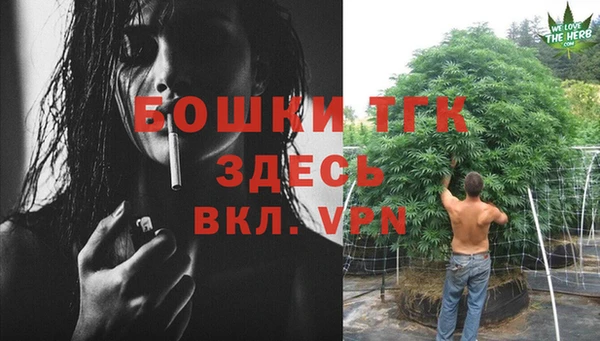 ГАЛЛЮЦИНОГЕННЫЕ ГРИБЫ Верея