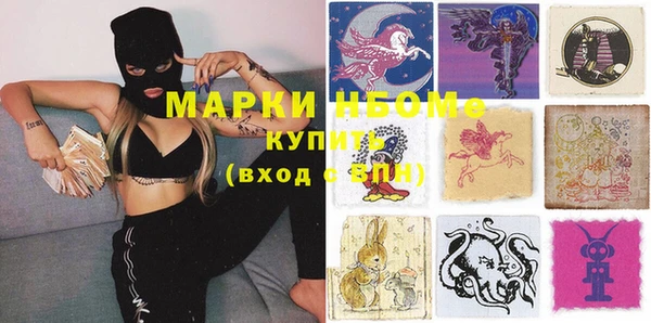 ГАЛЛЮЦИНОГЕННЫЕ ГРИБЫ Верея