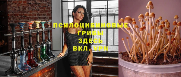 ГАЛЛЮЦИНОГЕННЫЕ ГРИБЫ Верея