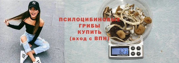 ГАЛЛЮЦИНОГЕННЫЕ ГРИБЫ Верея