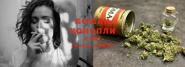 ГАЛЛЮЦИНОГЕННЫЕ ГРИБЫ Верея