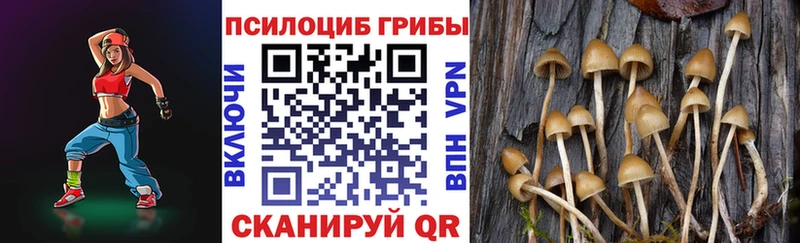 закладка  Барнаул  Псилоцибиновые грибы GOLDEN TEACHER 